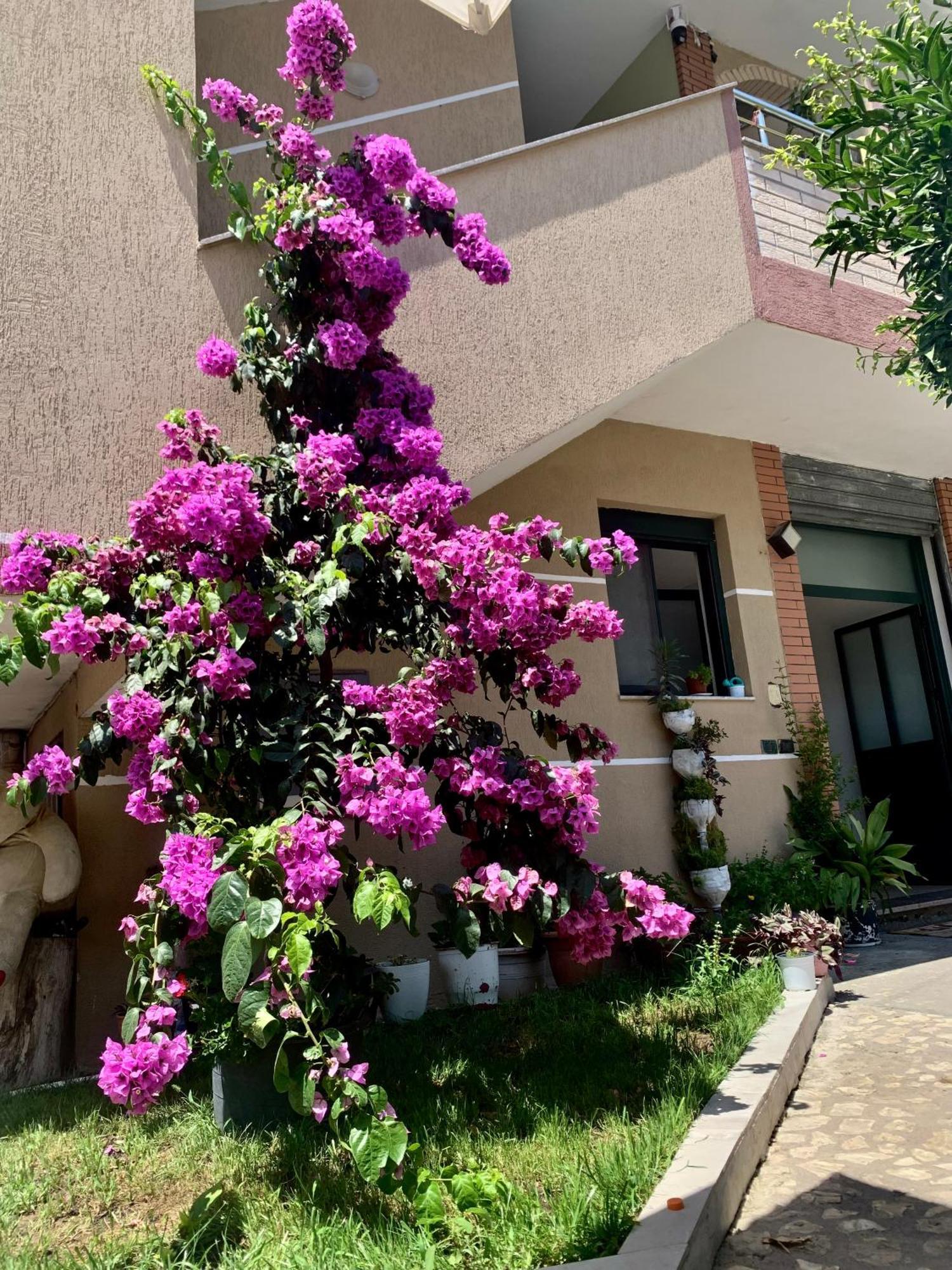 Serenade Beach Durres Luaran gambar